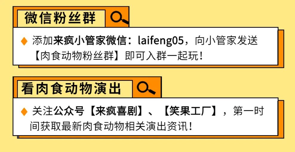 漫威未来之战 卡片 组合_肉食动物漫才组合_漫威未来之战vip组合包