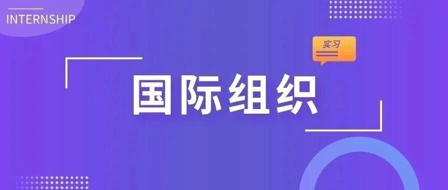 国家留学基金委2026年实习