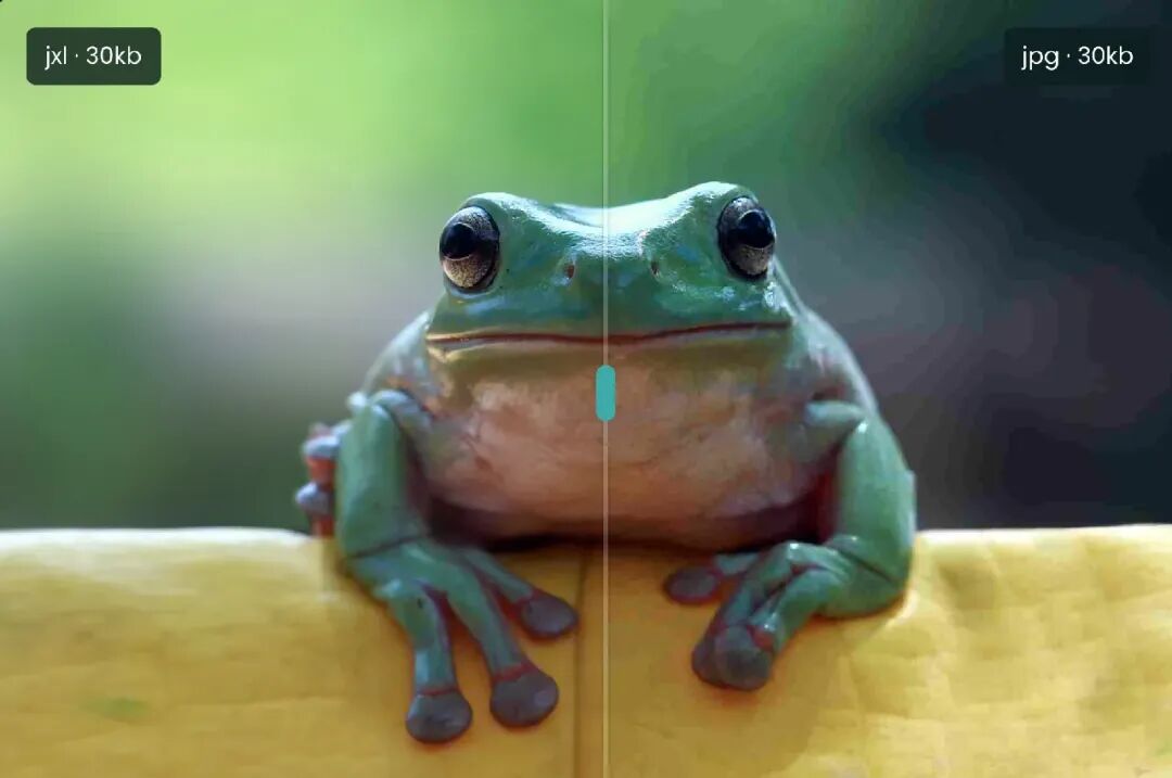 JPEG XL 终于获得了跨浏览器的支持
