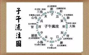 低频治疗仪能治疗什么中医界的新宠——子午流注低频治疗仪_https://www.jmylbn.com_新闻资讯_第8张