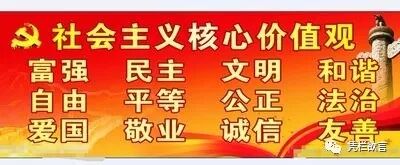 超越经济的窥探——为何人活得不如狗已成常态？-图片4