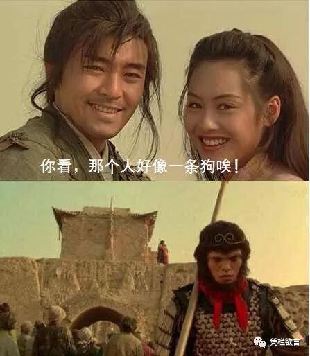 超越经济的窥探——为何人活得不如狗已成常态？-图片1