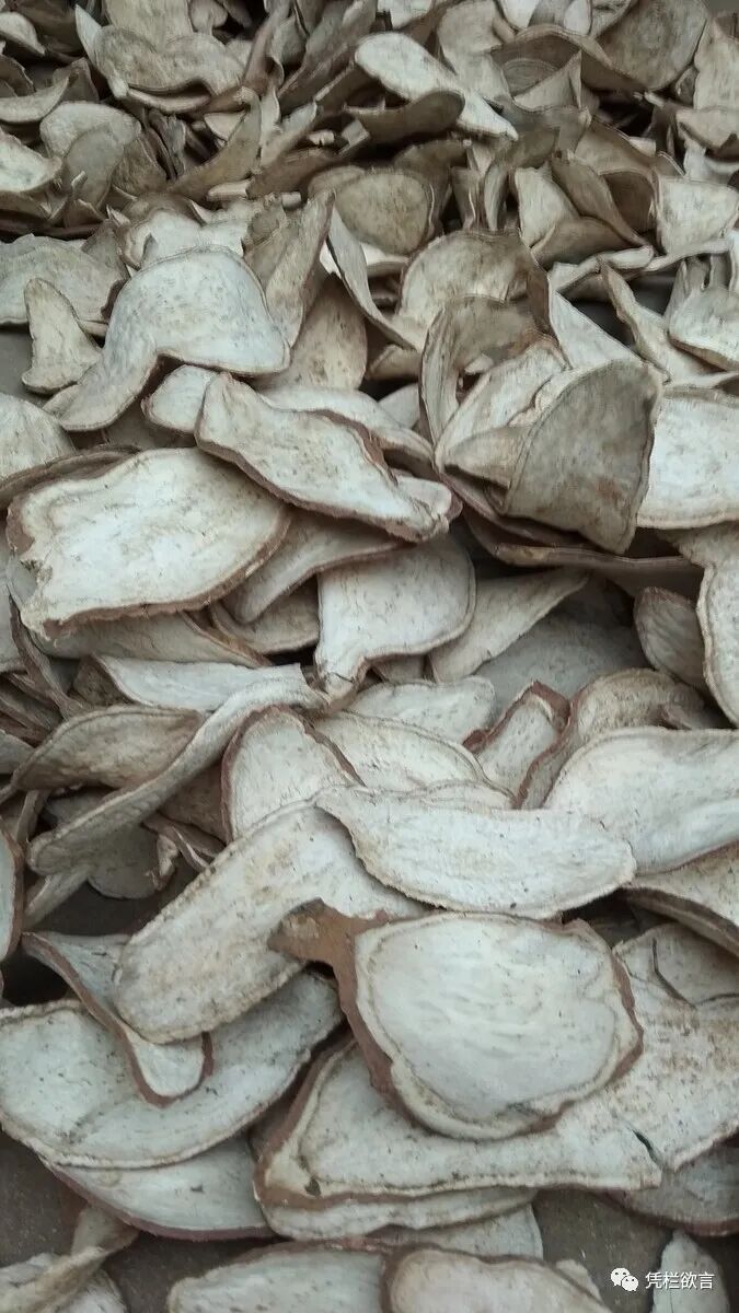 凭栏：跨越三代的饥饿回忆-图片8