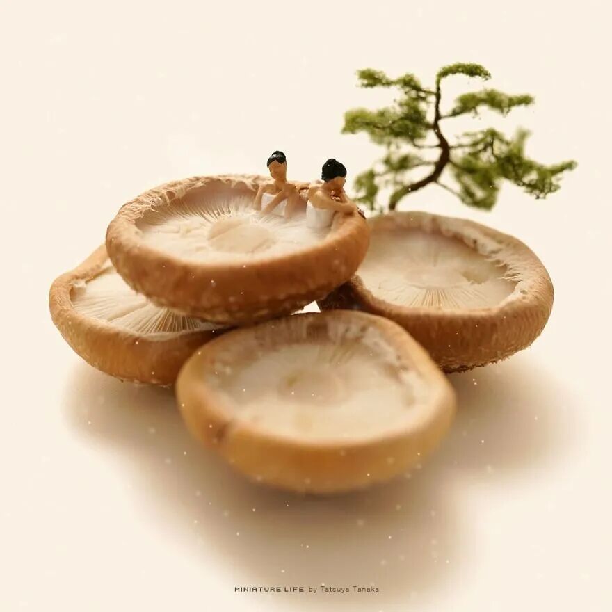 日本宅男“窝”家10年，每天拍摄一张照片，东芝、夏普找他合作