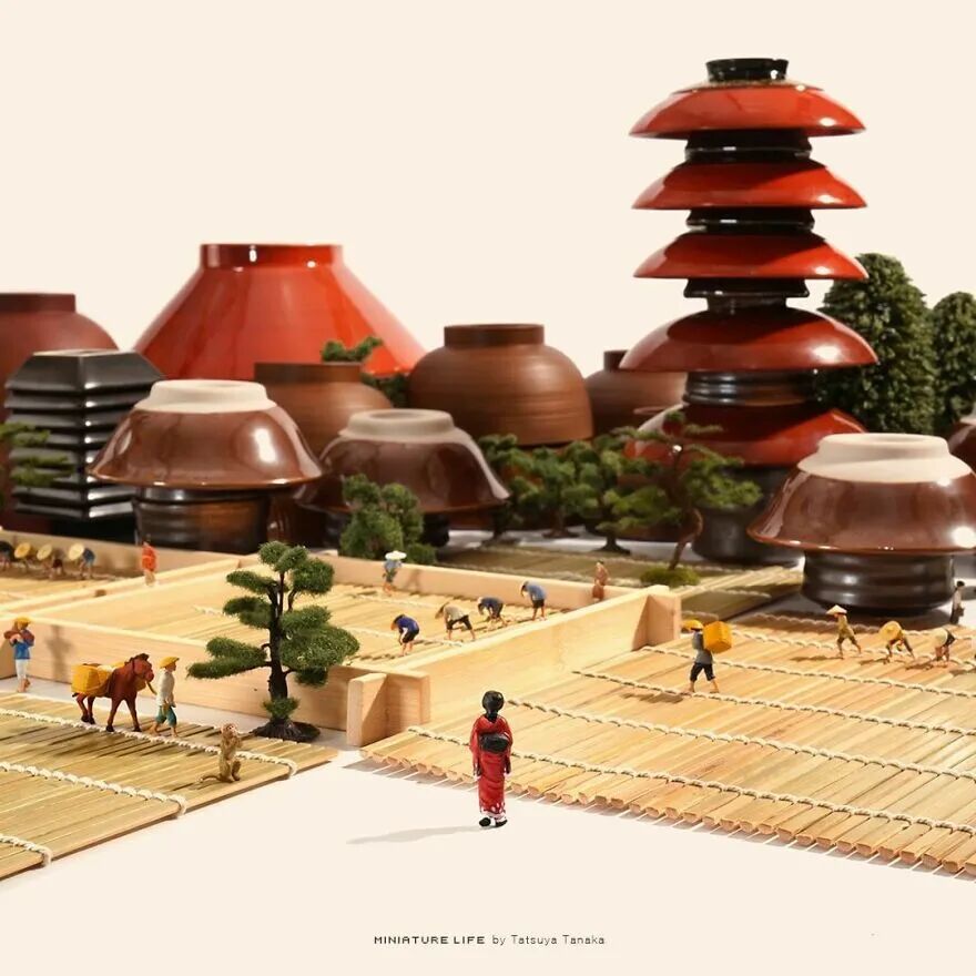 日本宅男“窝”家10年，每天拍摄一张照片，东芝、夏普找他合作