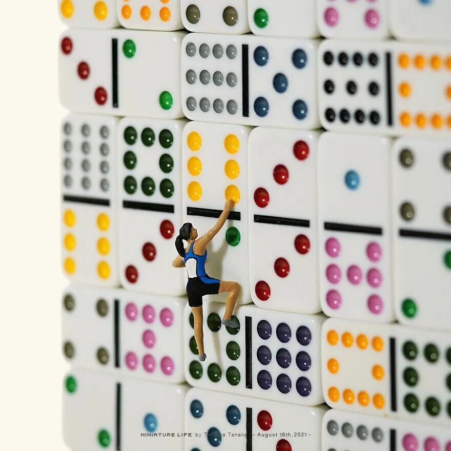 日本宅男“窝”家10年，每天拍摄一张照片，东芝、夏普找他合作