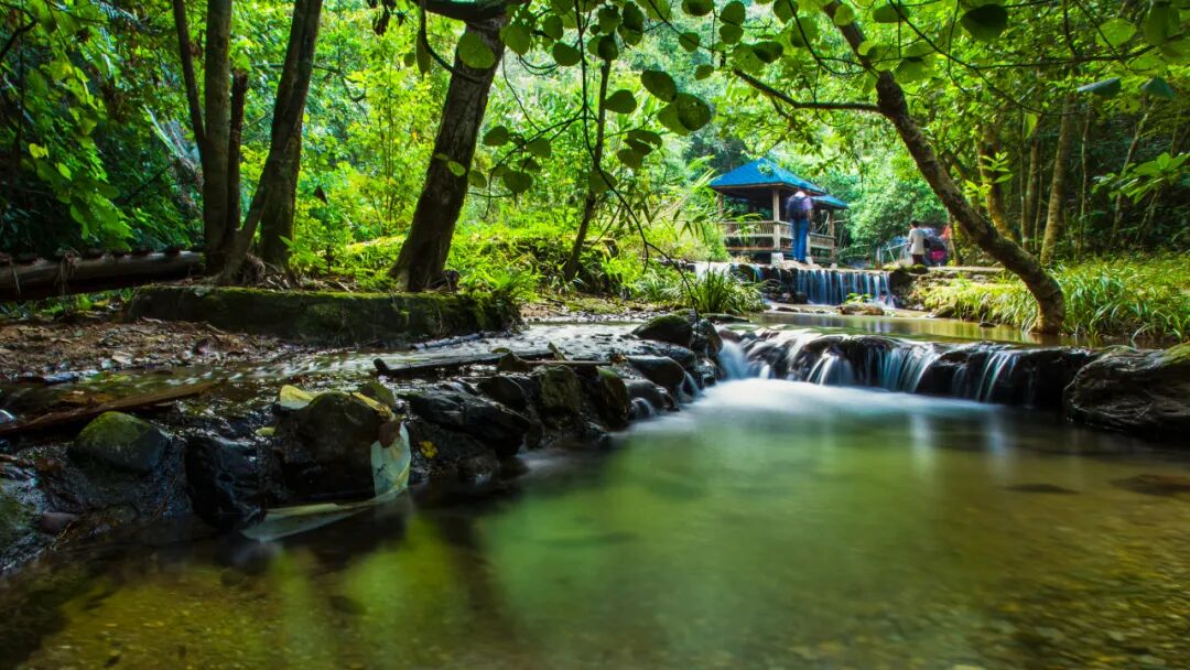 拾趣探秘!藏龙沟邀您过一个20℃ 的沁爽夏日--肇房网
