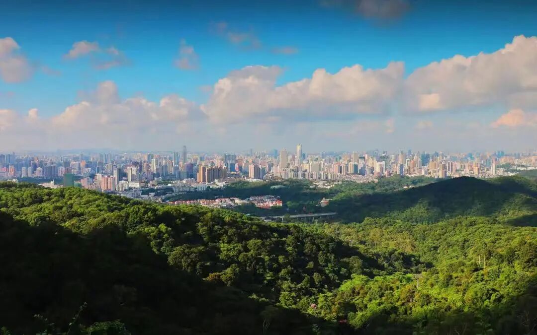 300万上车主城区，保利锦绣公馆值得买！