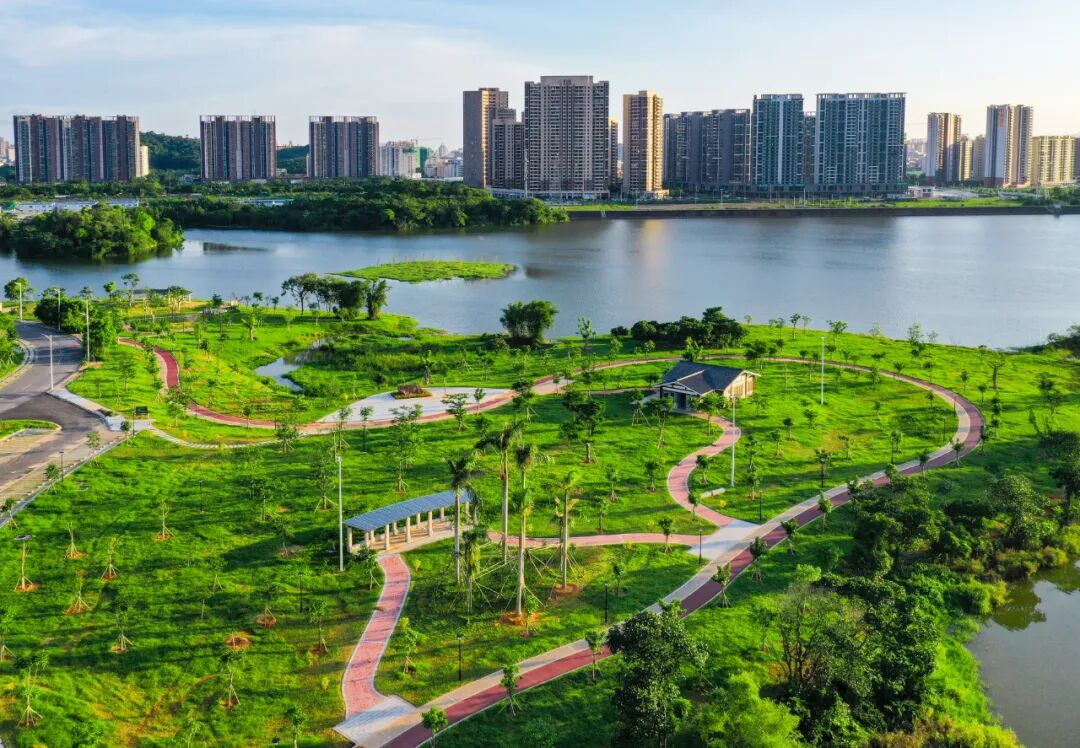 阳江一新公园即将建成开放