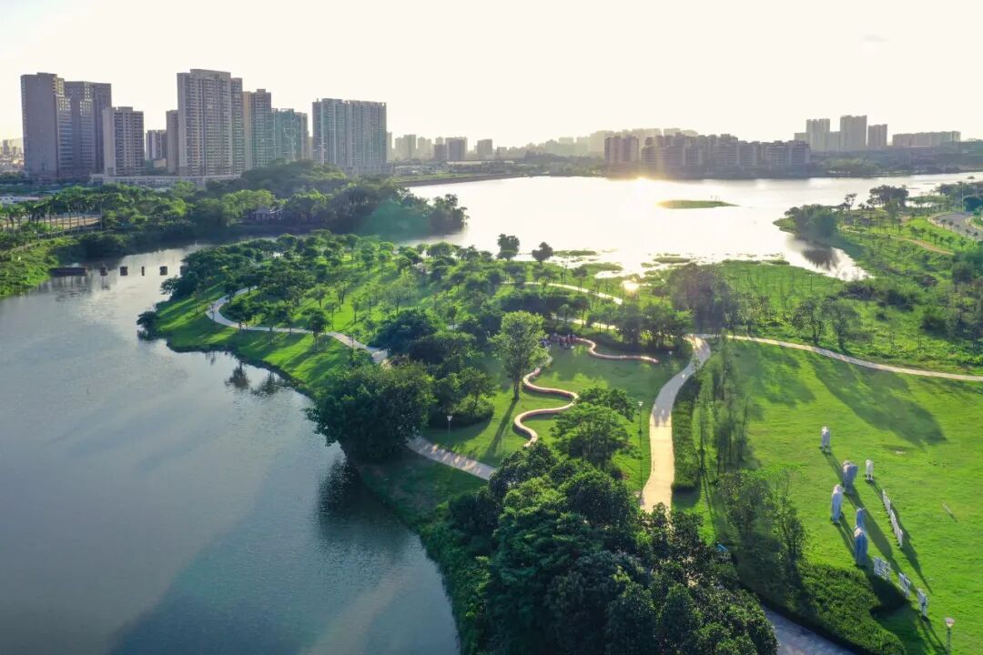 阳江一新公园即将建成开放