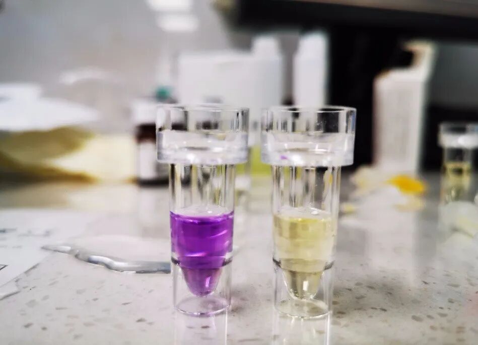 怎么分析生化质控生化案例赏析 ｜ 质控异常一定是试剂或仪器的原因？_https://www.jmylbn.com_新闻资讯_第5张