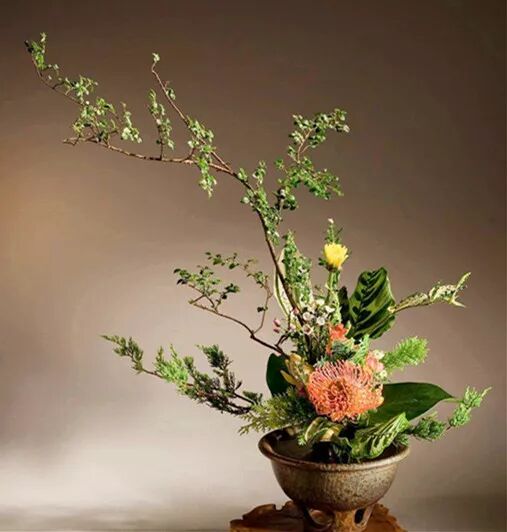 瓶花谱 折枝 插贮 滋养 大榕树生活美学馆 微信公众号文章阅读 Wemp