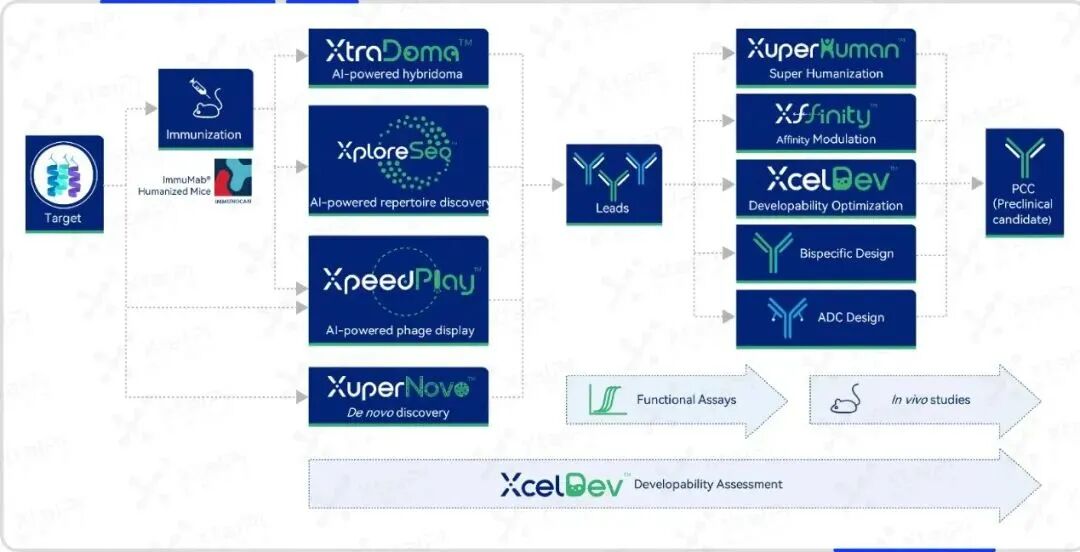 伊米诺康携手晶泰科技，以人工智能技术提升全人源抗体发现能力，全新模式助力抗体类药物研发 | 战略合作