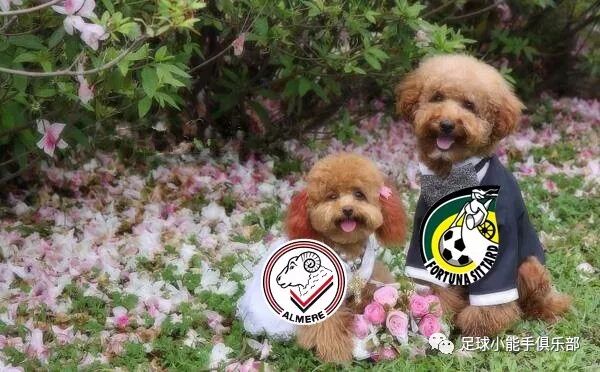 五大联赛排名顺序_周五世预赛_周五赛事推荐