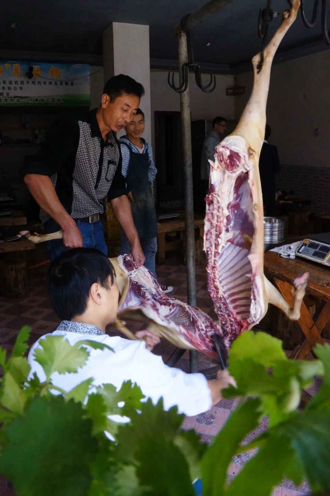 水城美食四题之二:水城羊汤锅