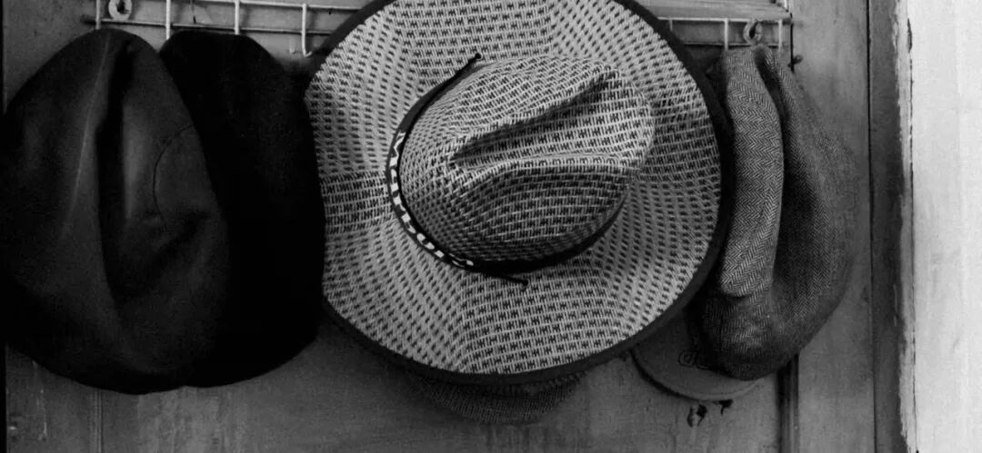 姥爷，胰腺癌，汉堡包。