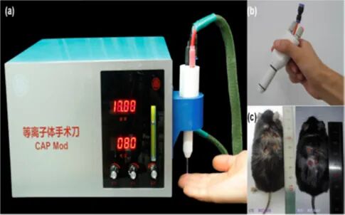什么是等离子治疗仪成果发布 ｜ 促进糖尿病伤口愈合的大气压冷等离子体 （CAP）治疗仪_https://www.jmylbn.com_新闻资讯_第1张