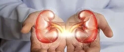 挤压综合征急性肾损伤的诊治