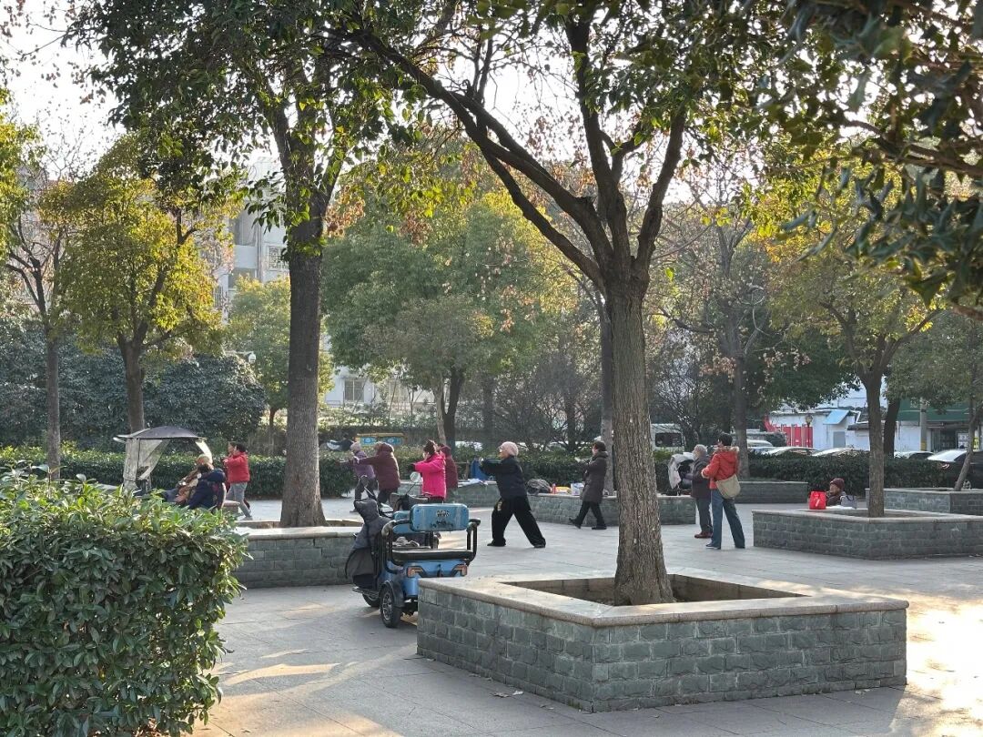 见缝插绿，蚌埠城市更新暖民心……