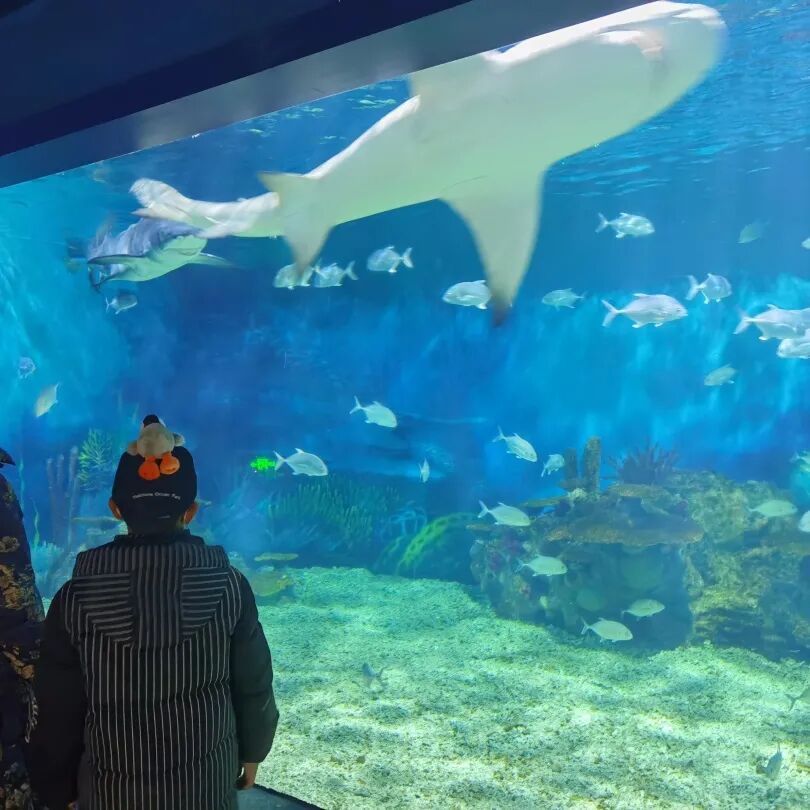 长宁爱可可上海伴游_上海伴游外围女_上海伴游
