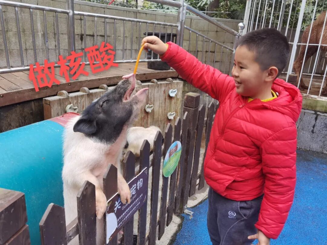 上海伴游外围女_上海伴游_长宁爱可可上海伴游