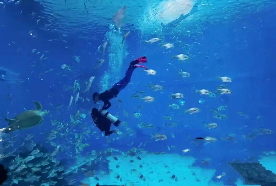 上海伴游外围女_长宁爱可可上海伴游_上海伴游