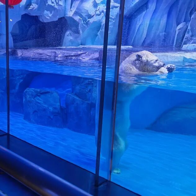 上海伴游外围女_上海伴游_长宁爱可可上海伴游