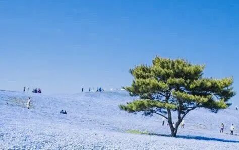 别搞错了！消费升级不单单是产品涨价