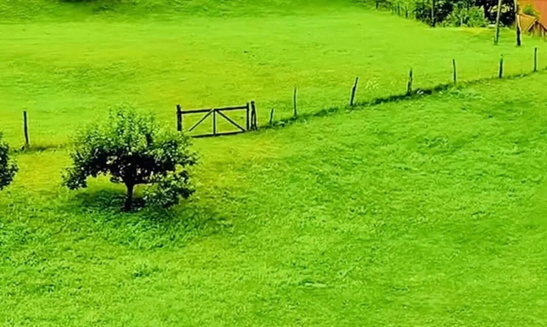 手机与电器哪个更需要换新补贴？