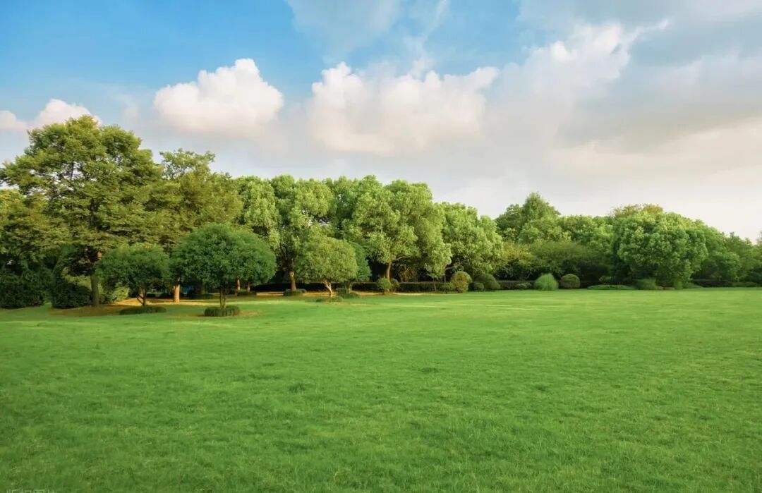 头部企业制胜密码：充沛的现金流与高额利润