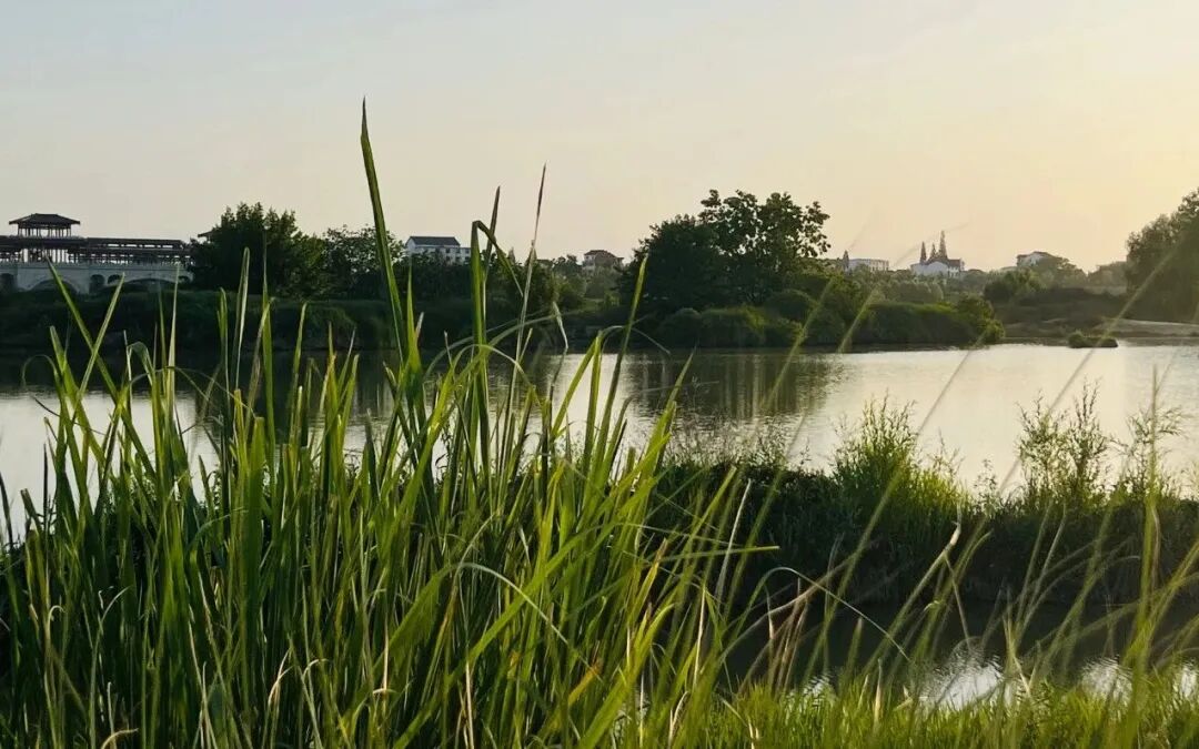 为什么行业规模企业是内卷式竞争的主要推手