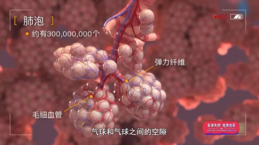 胸悶氣短？當心出現這個病 健康 第2張