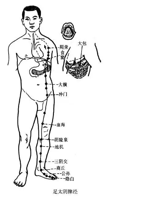 图解“脾经”