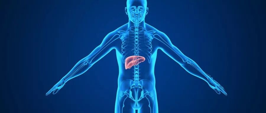 古法经络|养肝第一大穴！每天按一按：排肝毒，消火气！