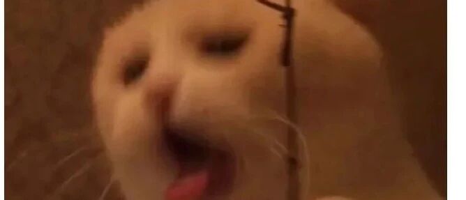 装了一肚子螺蛳粉去日本男友家吃饭结果...