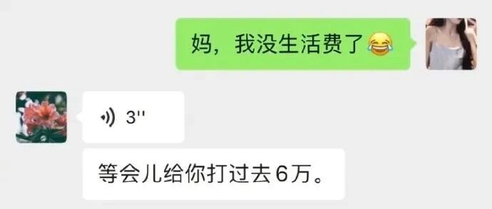 “别在妈妈打麻将的时候要生活费！”哈哈哈哈绝对是亲生的…