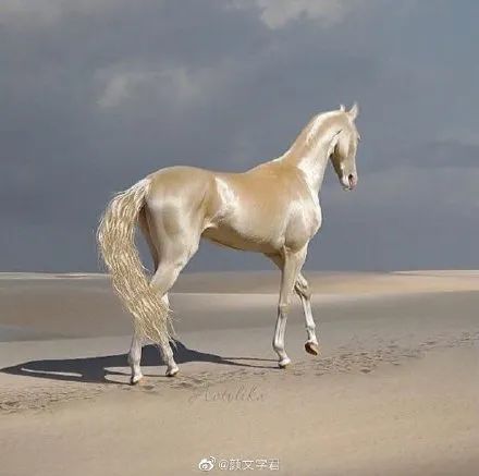 “情侣在公共场所亲亲抱抱?网友:这画面谁能受得了...”-微信头条网 “情侣在公共场所亲亲抱抱?网友:这画面谁能受得了...”
