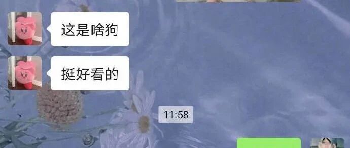 “直男敷衍聊天艺术大赏！” 哈哈哈哈哈我笑到当场去世！