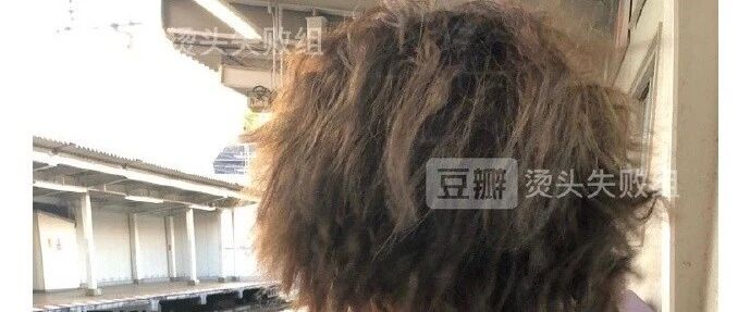 烫发失败合集...哈哈哈救命啊我立刻打消了念头！