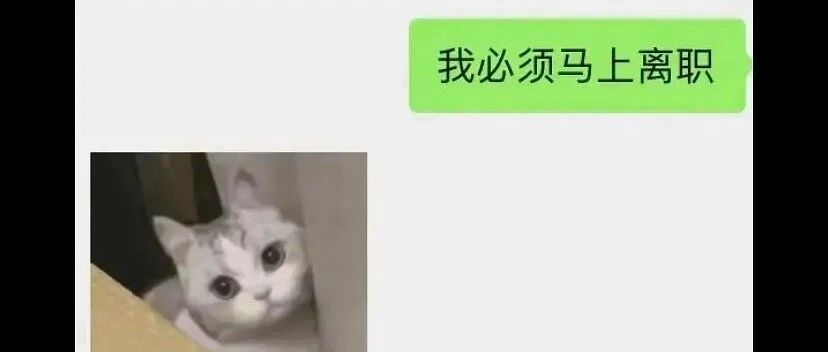 “被老板看到男友不可描述的照片？哈哈哈哈哈哈笑不活了....”