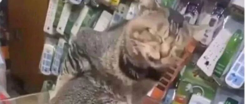 “男生私底下是怎样撒娇的？哈哈哈哈哈学变脸的吧！”