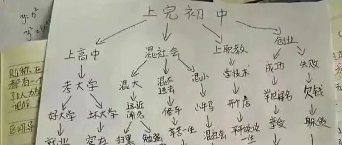 “当代年轻人的人生规划思路能有多清晰?!”哈哈哈哈哈好家伙!