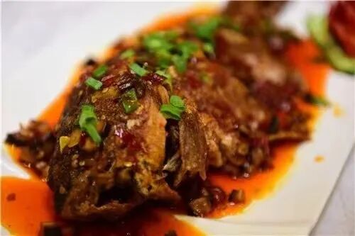 奔赴热爱来磴口旅行的n个理由