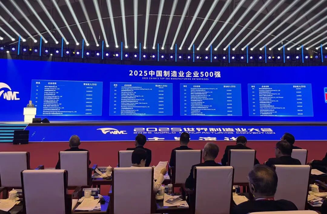 2025年安徽天康集团再登500强榜单