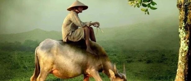 为什么越优秀的人，朋友反而越少？往往是这三个原因，很现实