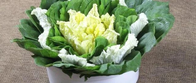 多吃蔬菜对身体好，但是这5种蔬菜最好远离，吃太多或损伤健康