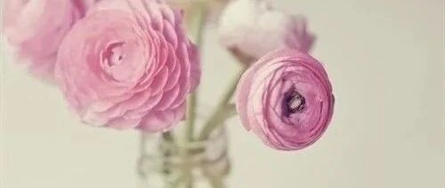 人到中年，就不要向别人炫耀这些事了，招人眼红