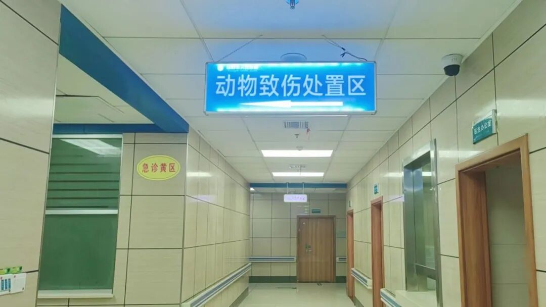动物门诊用什么x光机【卓越医疗】益阳市人民医院动物致伤门诊正式开诊啦！_https://www.jmylbn.com_新闻资讯_第3张