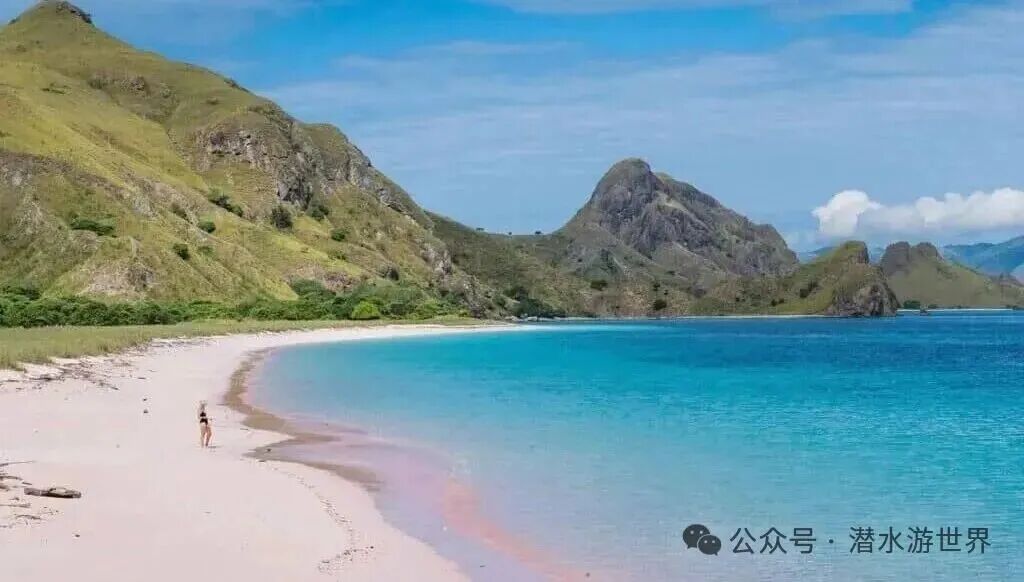 pink beach komodo
