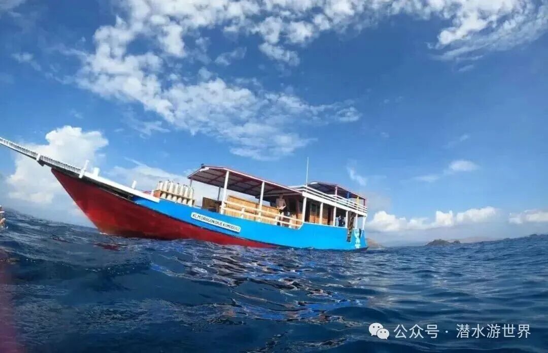 May be an image of boat